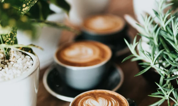 tasses de café