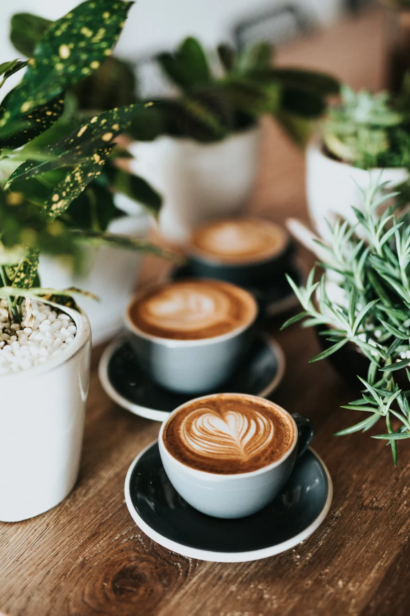 tasses de café
